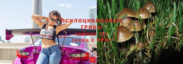таблы Алексеевка